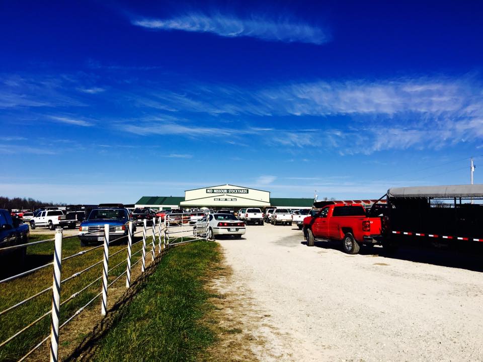 stockyard_exterior w cars Mid Missouri Stockyards
